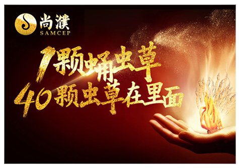 大健康+尚濮蛹蟲草